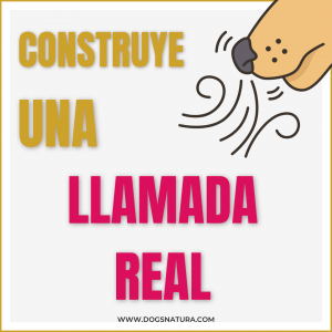 Curso la llamada